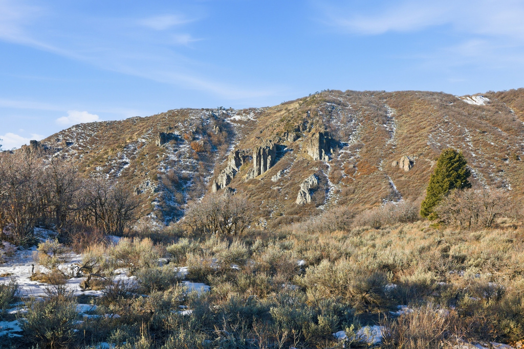 9233  SPOTTED OWL CT Park City, UT 84098