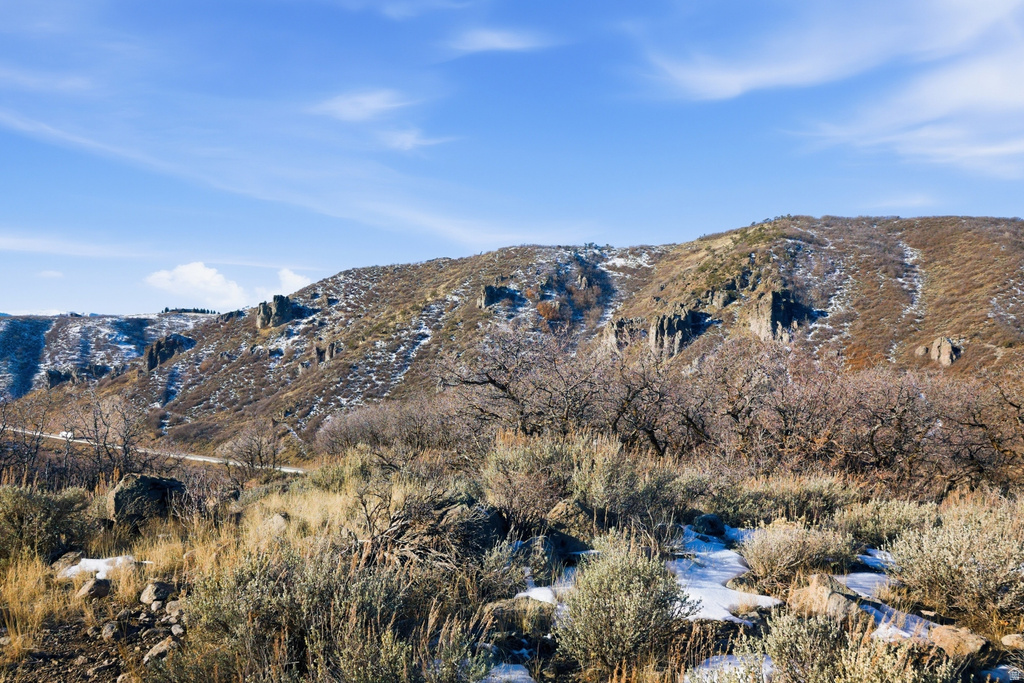 9233  SPOTTED OWL CT Park City, UT 84098