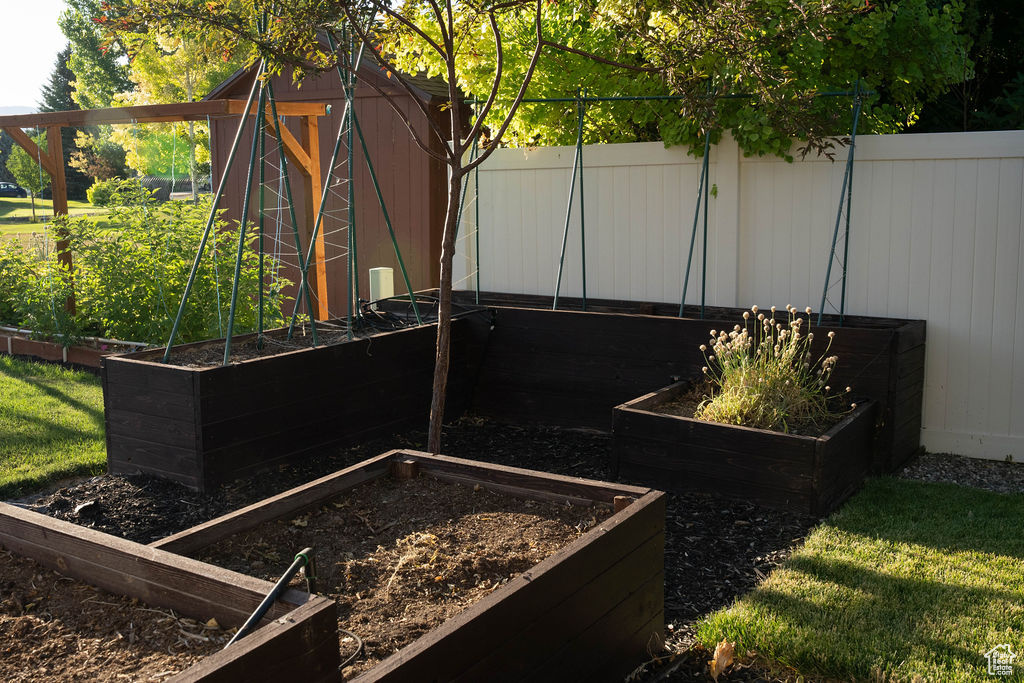 View of yard with a garden and a storage unit