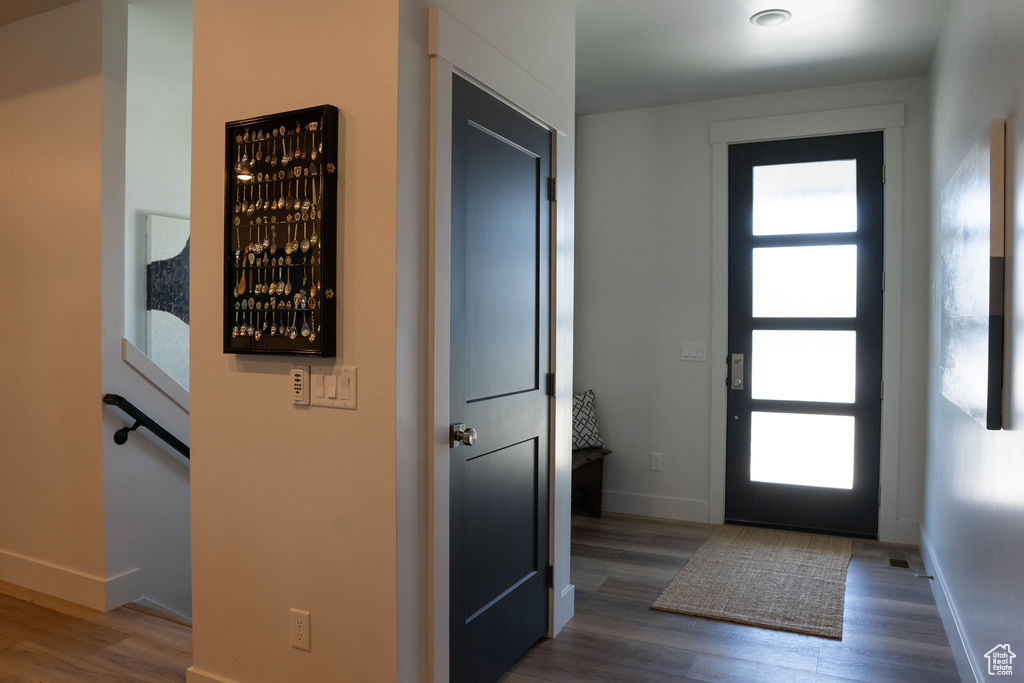 Foyer featuring wood finished floors and healthy amount of natural light