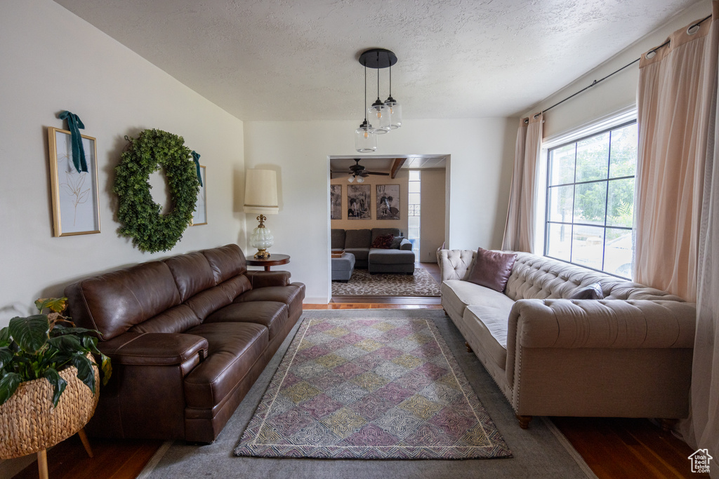 Living room featuring a ceiling fan, a textured ceiling, and wood finished floors