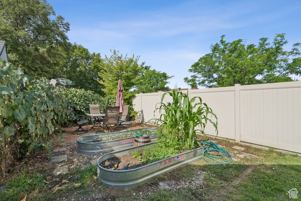 Fenced backyard featuring a vegetable garden