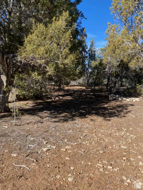 15  PINE Orderville, UT 84758