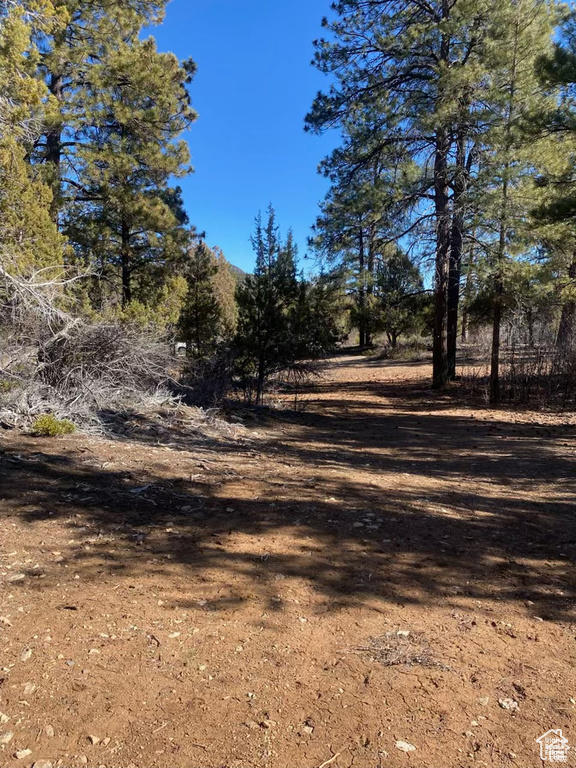 15  PINE Orderville, UT 84758