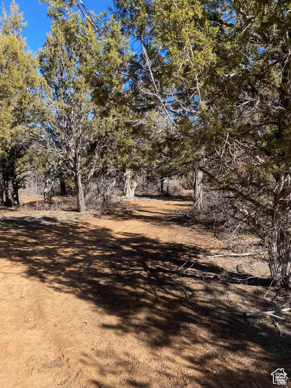 15  PINE Orderville, UT 84758