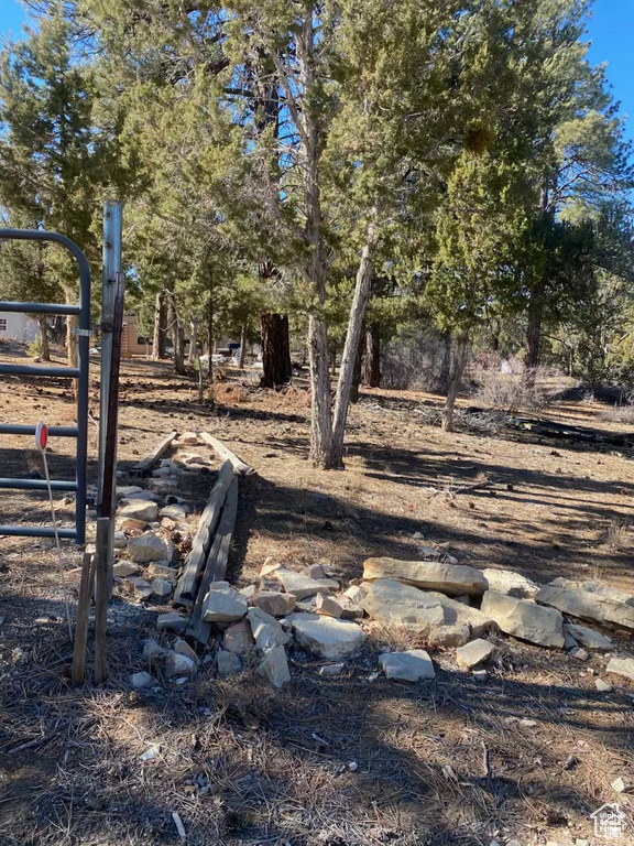 15  PINE Orderville, UT 84758