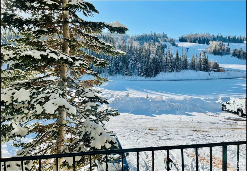 651 S SNOWFLAKE LN #212 Brian Head, UT 84719