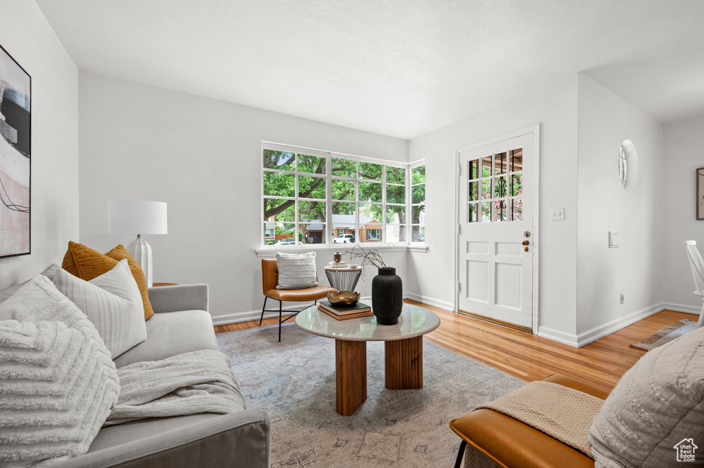 Living room featuring wood finished floors and baseboards