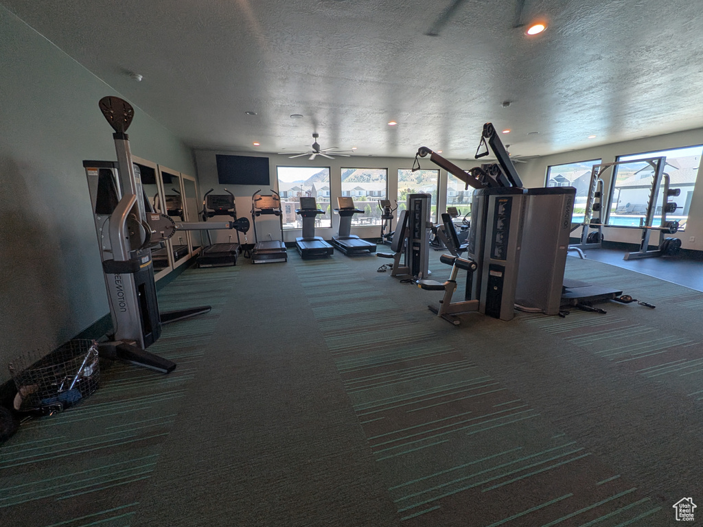 409 S 1320 E Hyrum, UT 84319