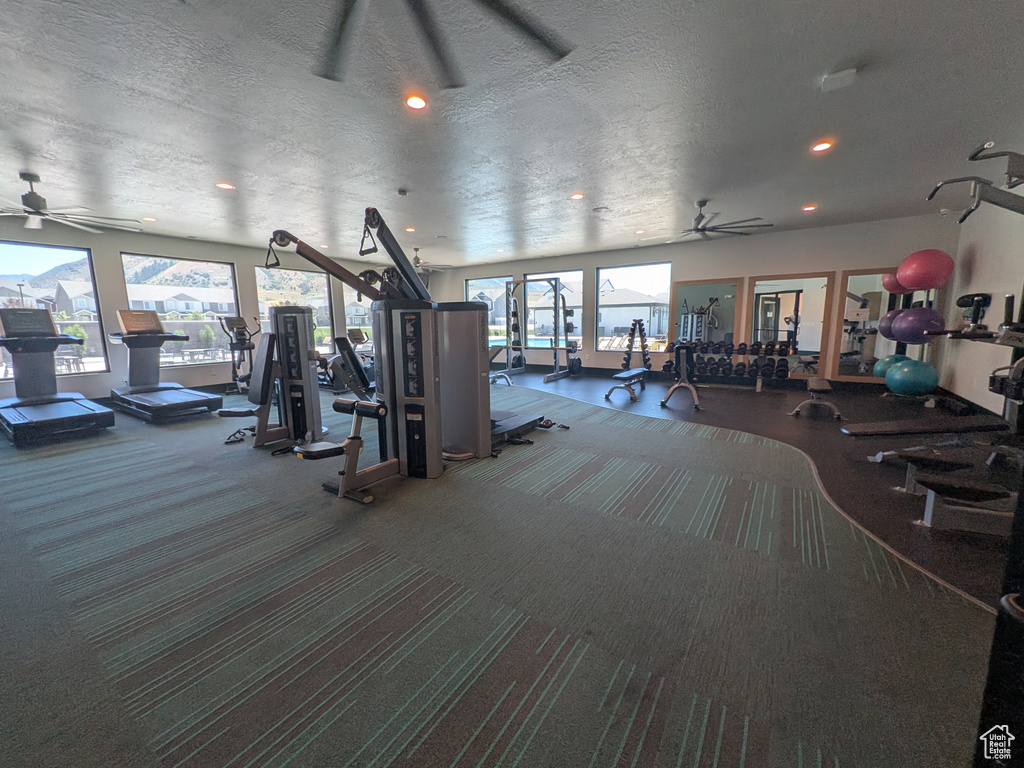 409 S 1320 E Hyrum, UT 84319