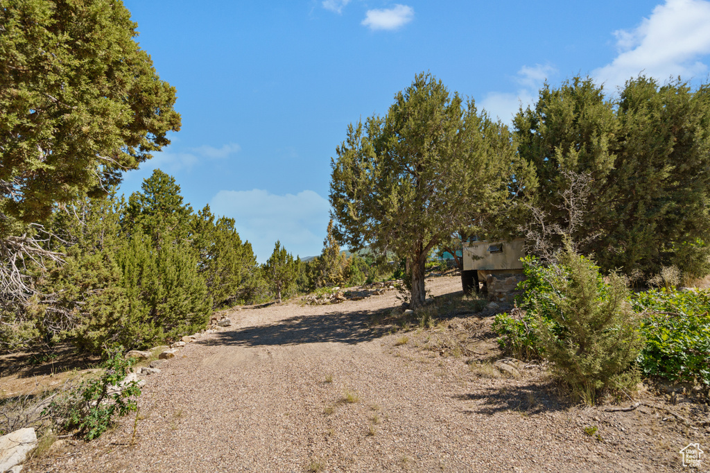 View of road