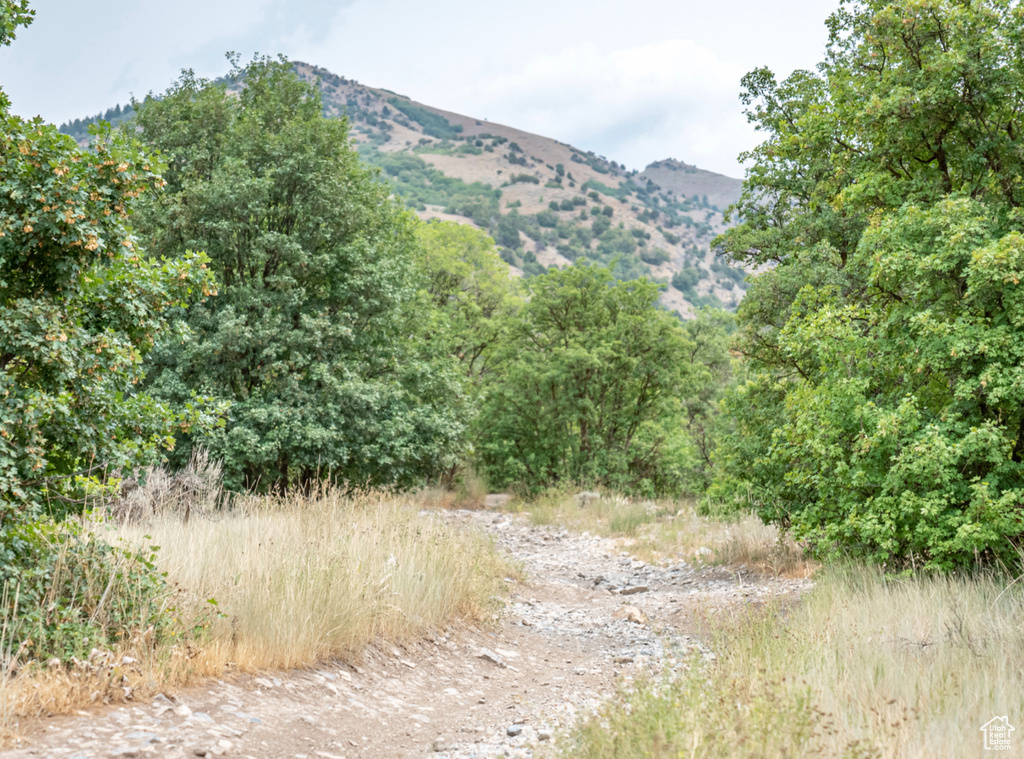 Hyde Park, UT 84318