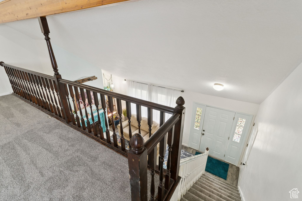 Staircase with carpet floors
