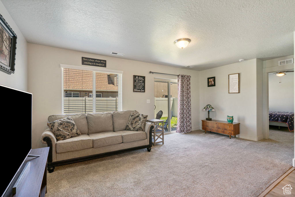 Carpeted living room with a textured ceiling