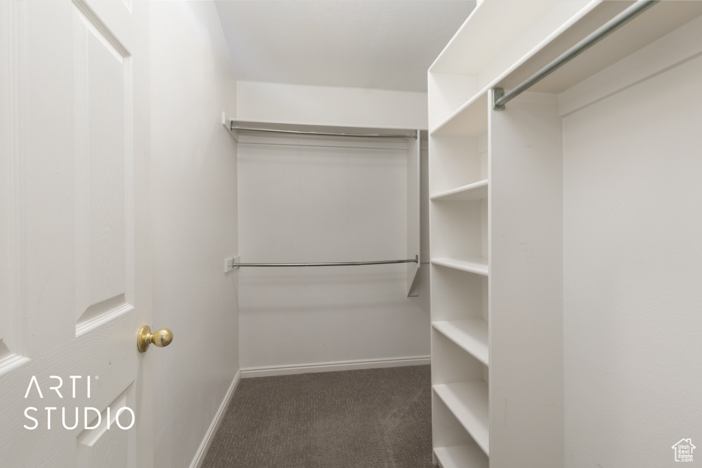 Walk in closet featuring carpet floors