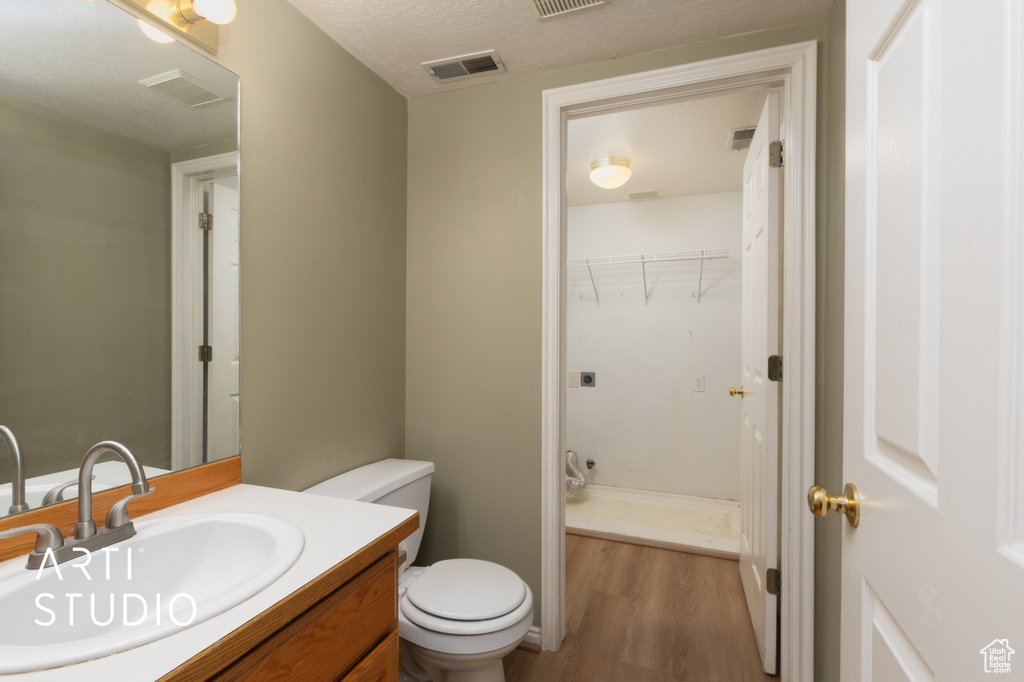 Bathroom with wood finished floors, vanity, and a walk in closet