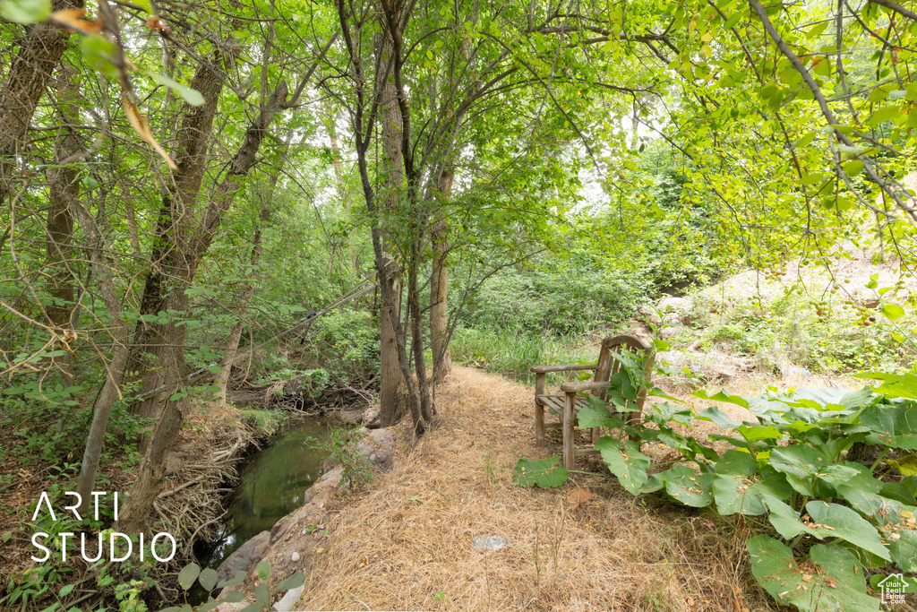 View of yard with a wooded view