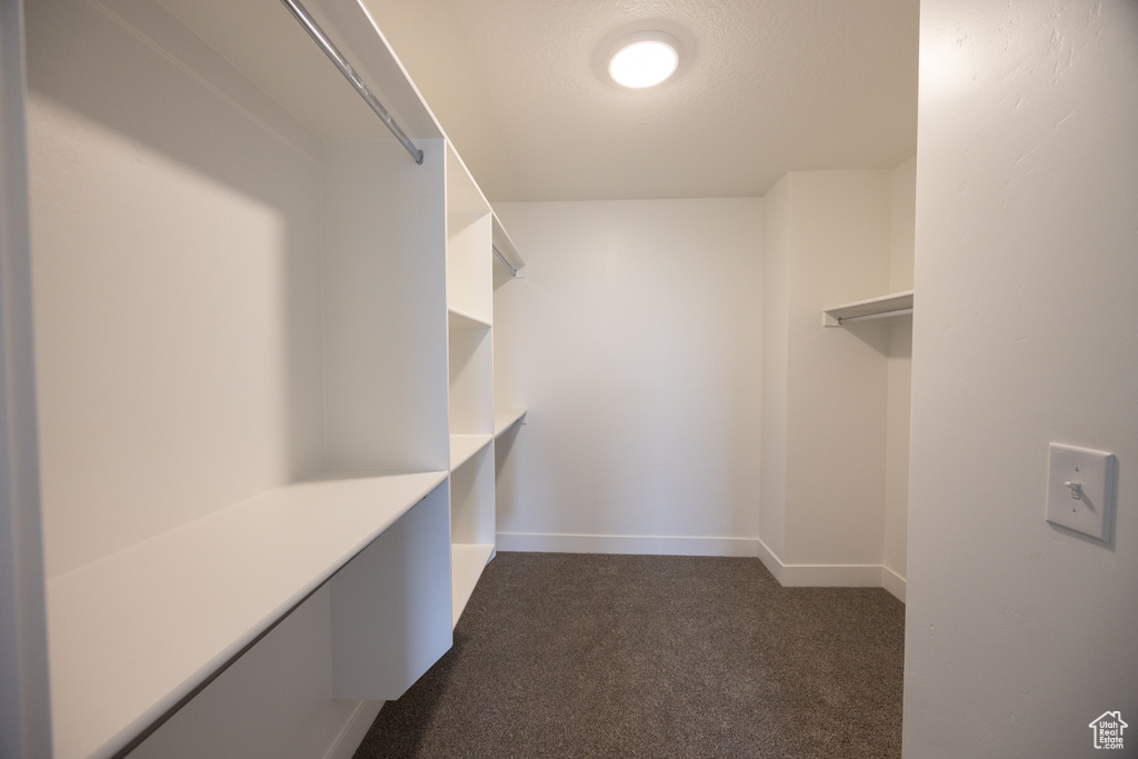 Walk in closet with dark carpet