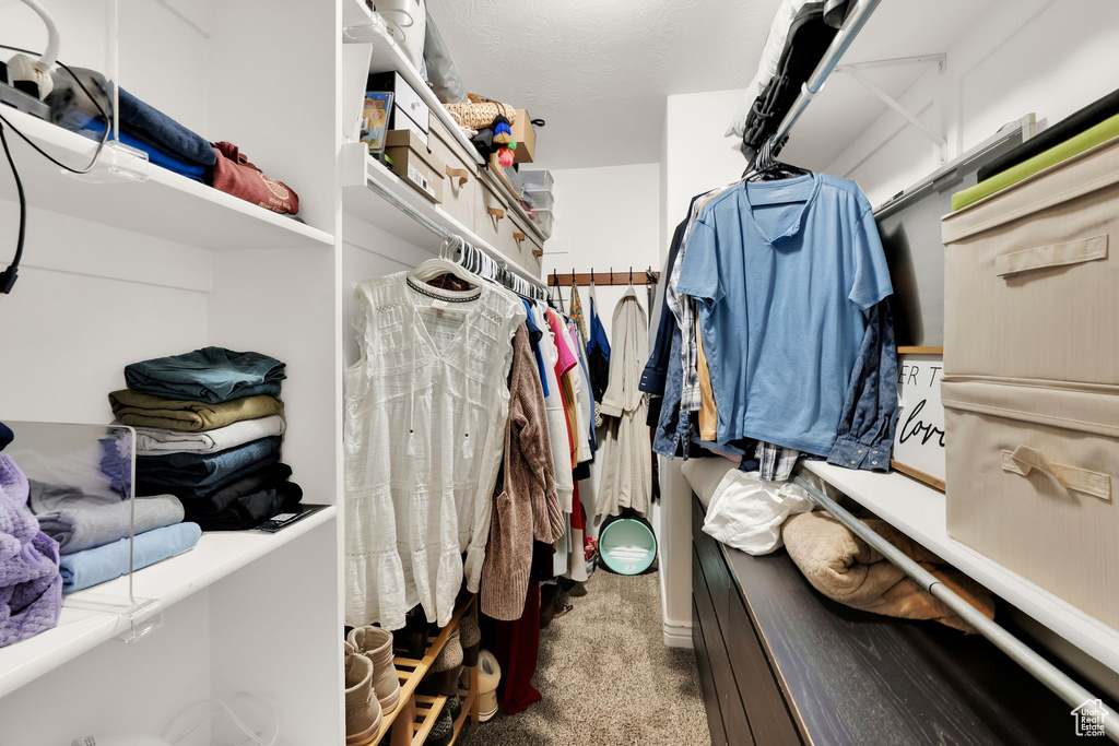 Spacious closet featuring carpet floors