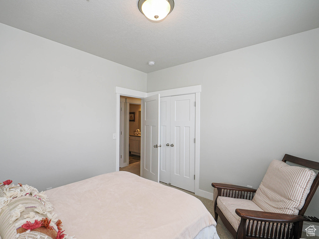 Carpeted bedroom with baseboards and a closet
