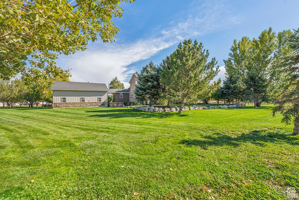 View of grassy yard
