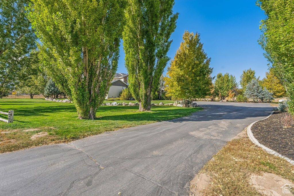 View of road