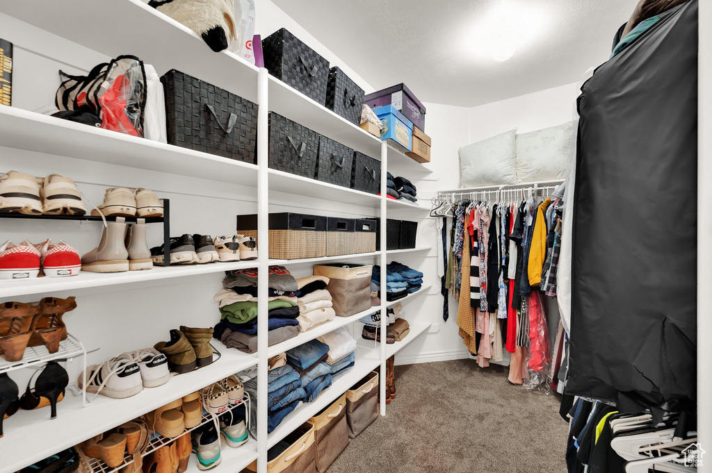 Walk in closet featuring carpet