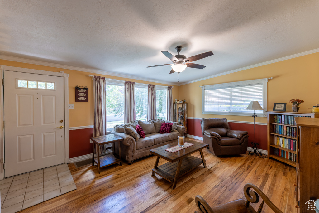 Living area featuring healthy amount of natural light, a ceiling fan, light wood finished floors, and crown molding