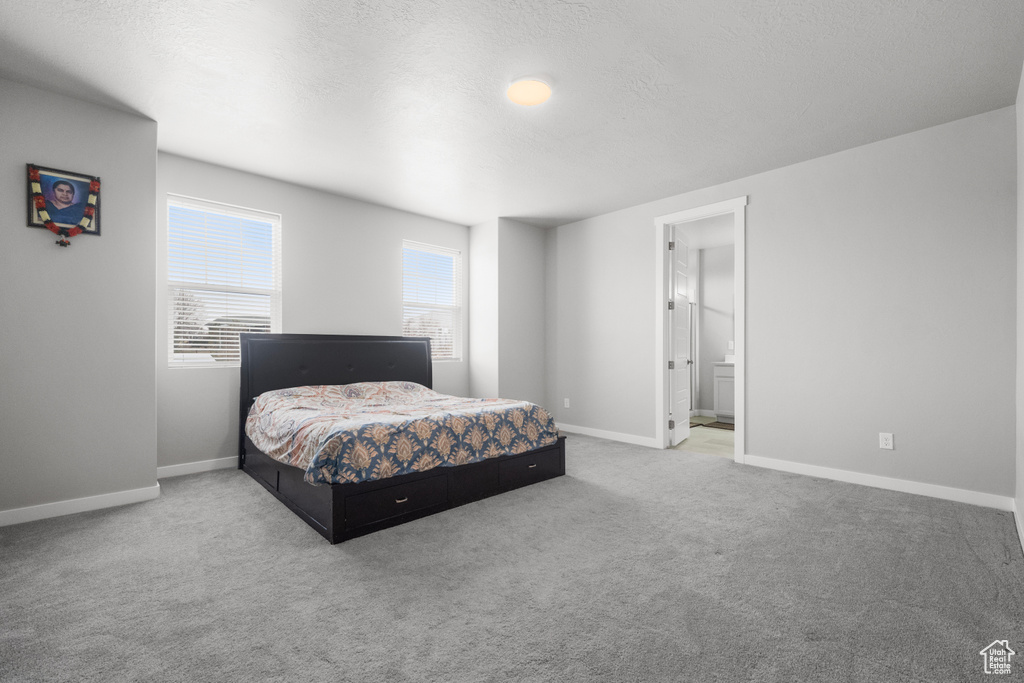 Bedroom featuring carpet and ensuite bathroom