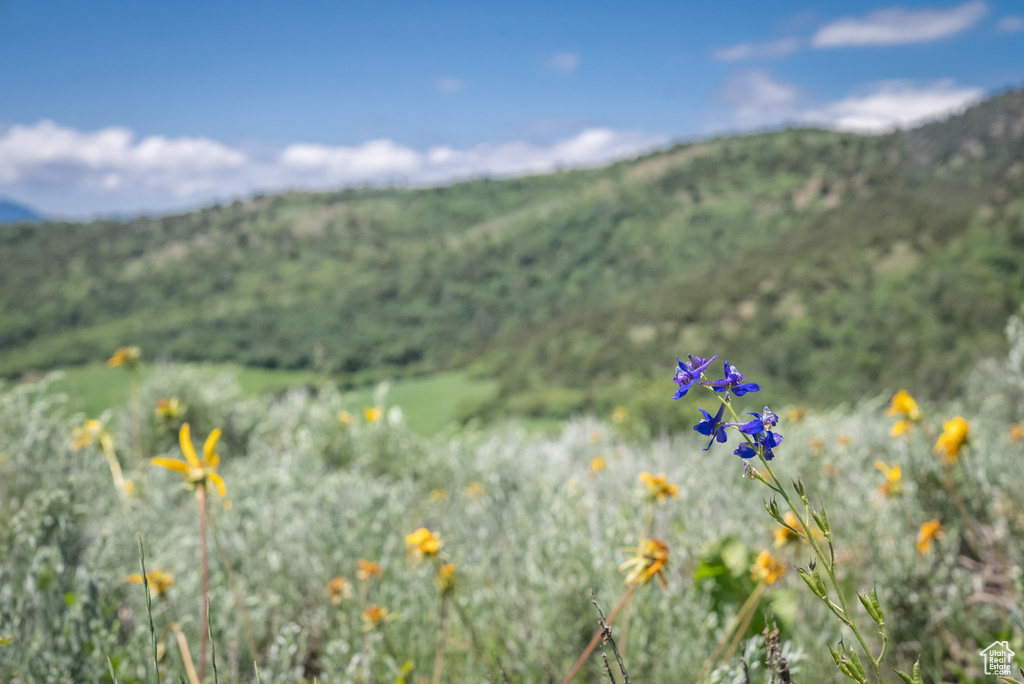 Preston, ID 83263