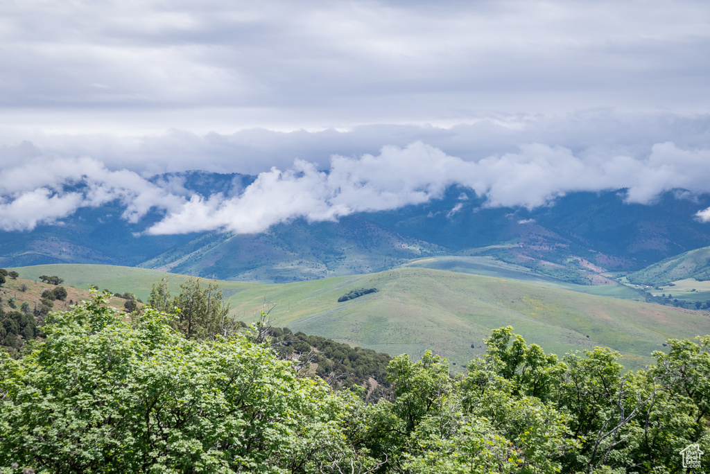  Preston, ID 83263