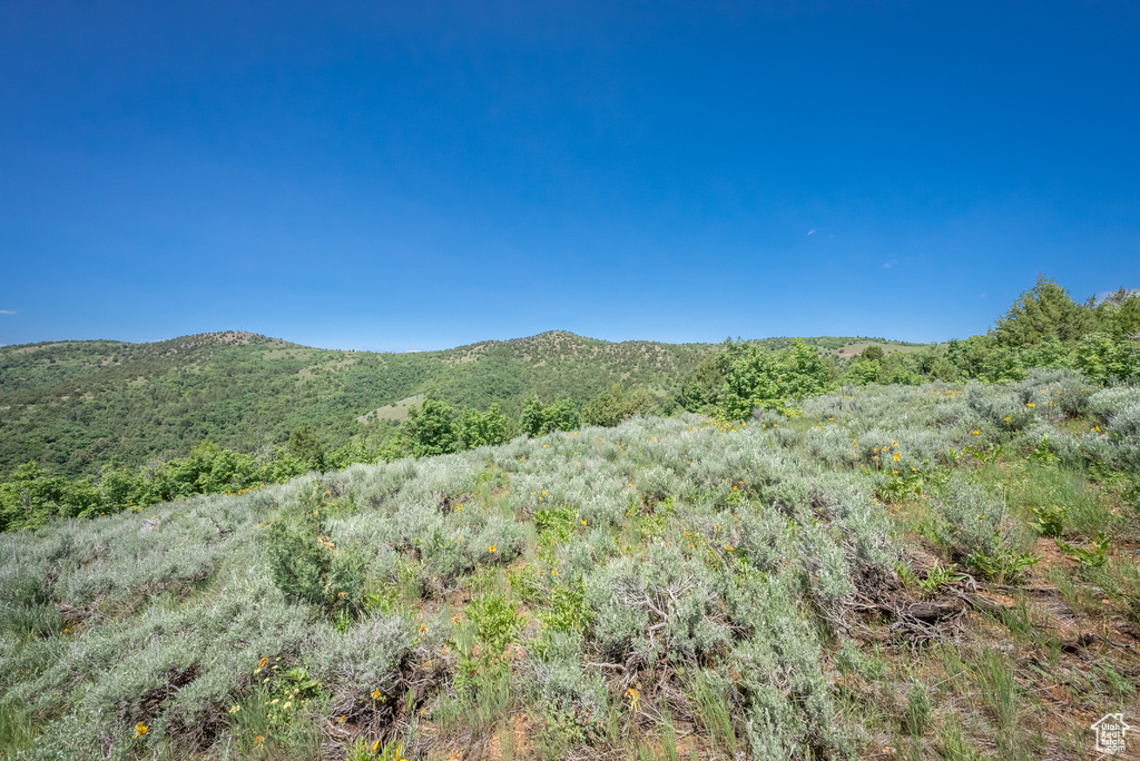  Preston, ID 83263