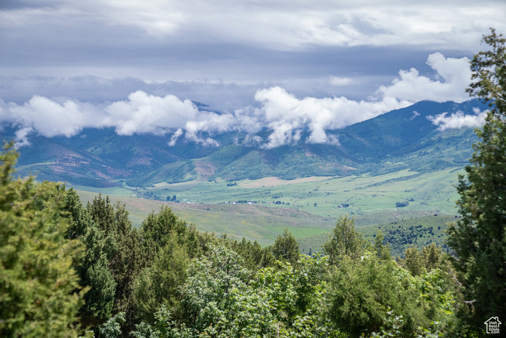  Preston, ID 83263