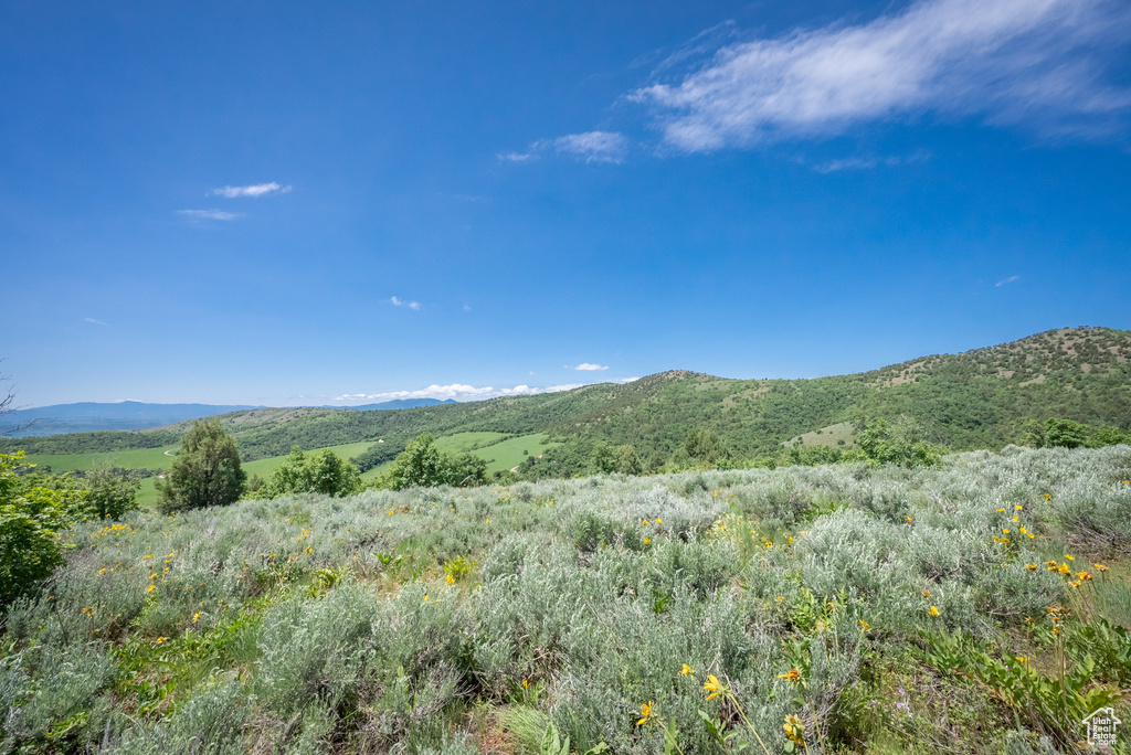  Preston, ID 83263