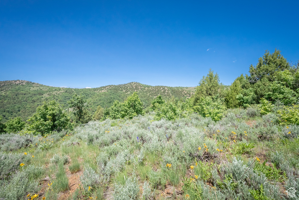  Preston, ID 83263