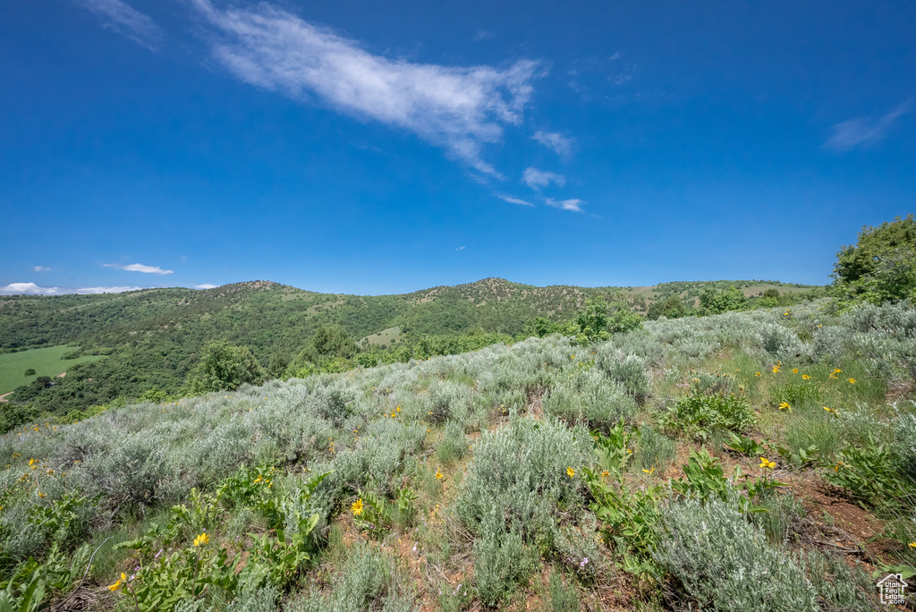  Preston, ID 83263