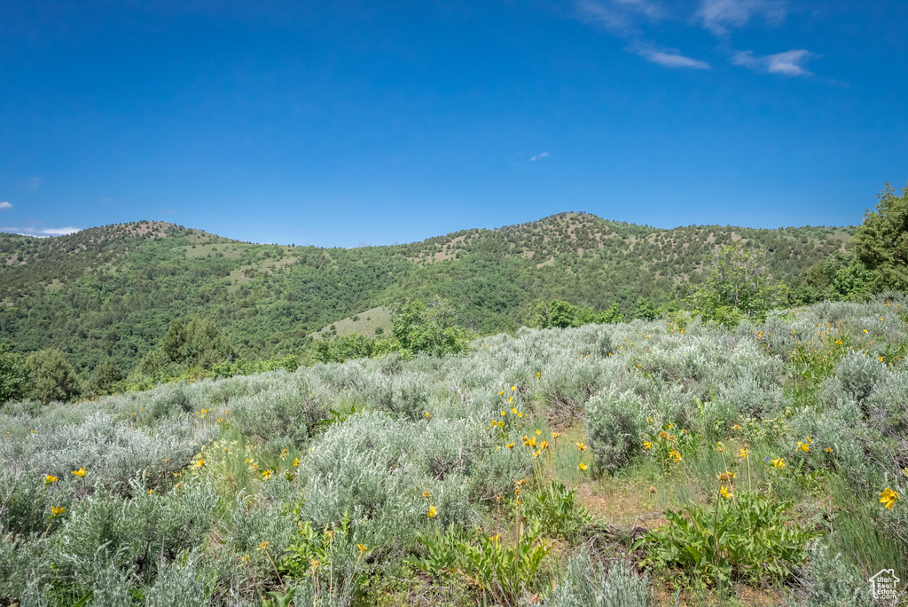  Preston, ID 83263