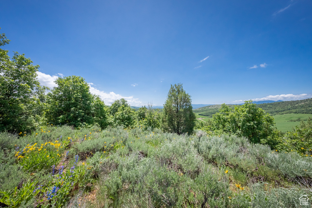  Preston, ID 83263