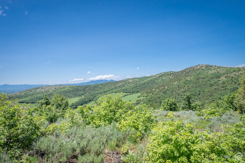  Preston, ID 83263