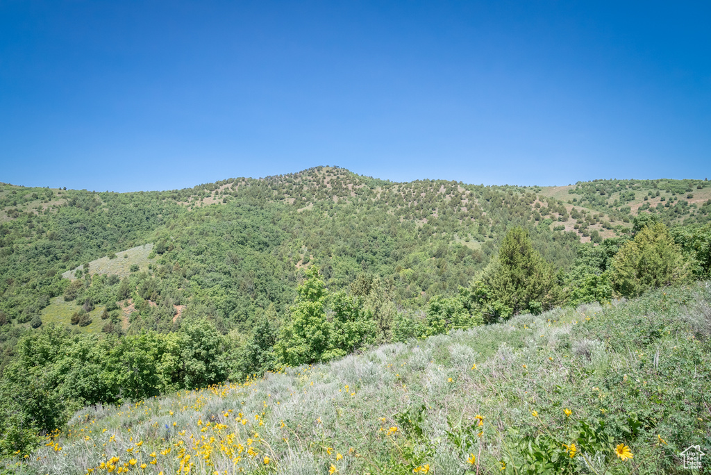  Preston, ID 83263