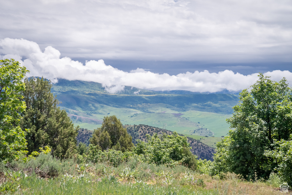  Preston, ID 83263