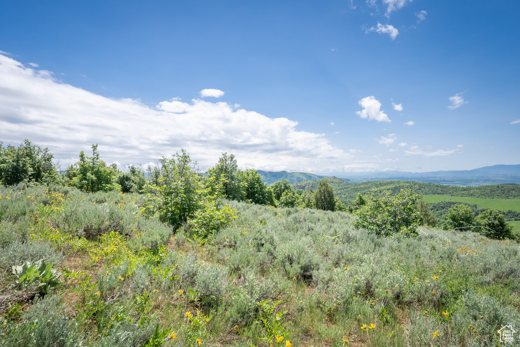  Preston, ID 83263