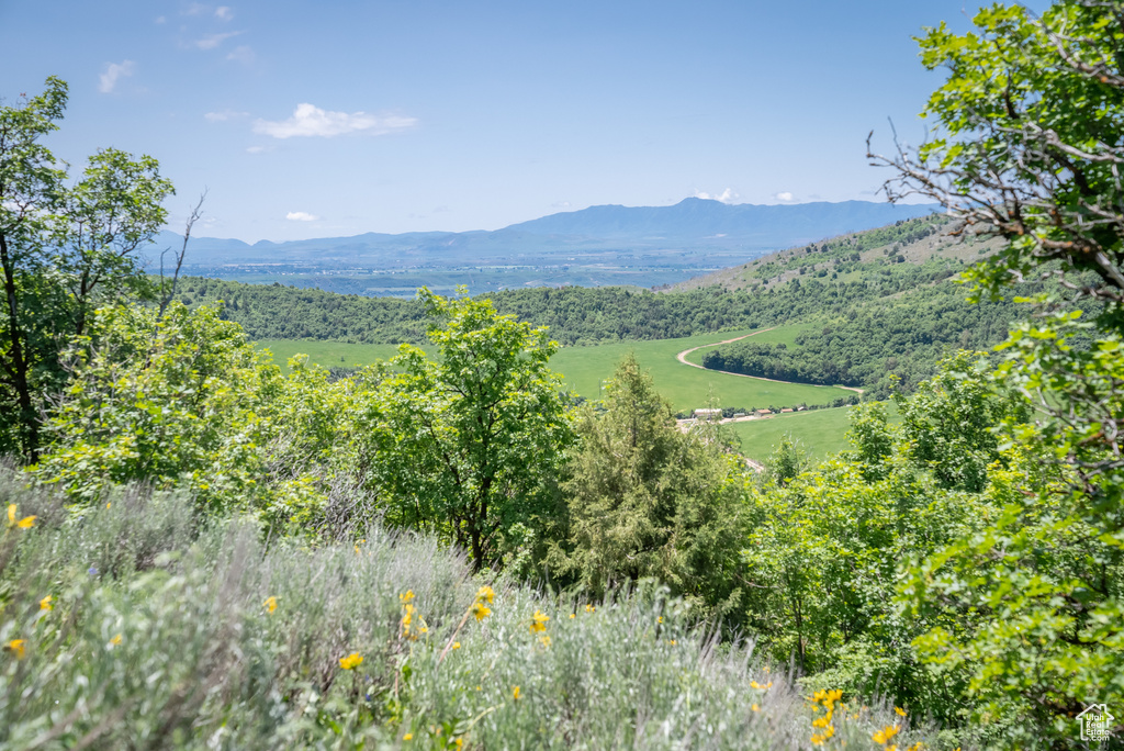  Preston, ID 83263