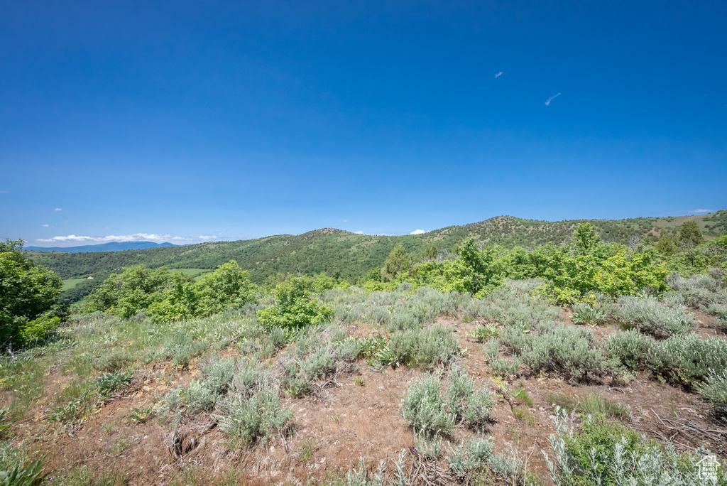  Preston, ID 83263