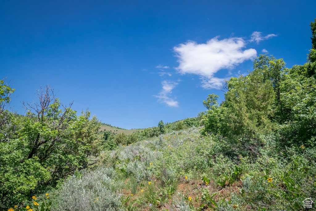  Preston, ID 83263