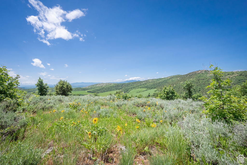  Preston, ID 83263