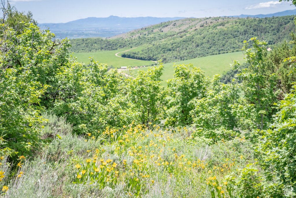  Preston, ID 83263