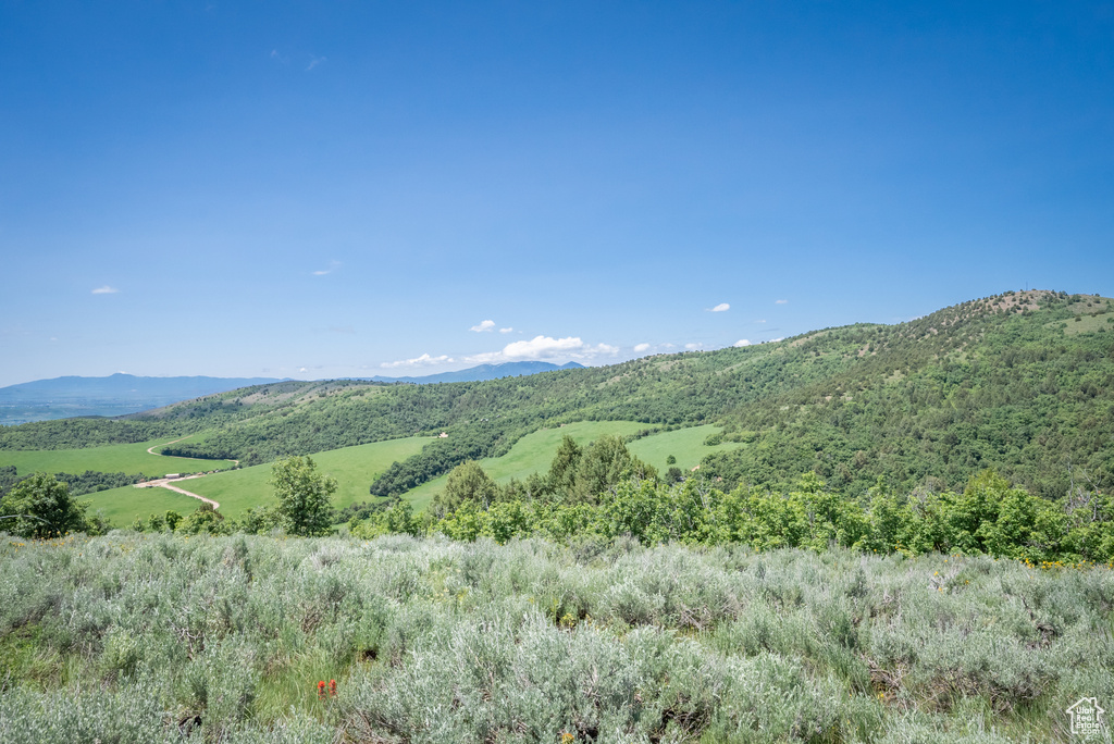  Preston, ID 83263