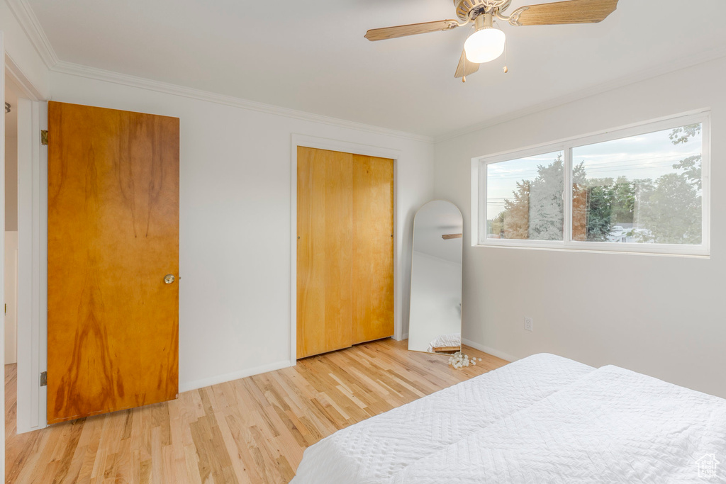 Bedroom with wood finished floors, ornamental molding, ceiling fan, and a closet