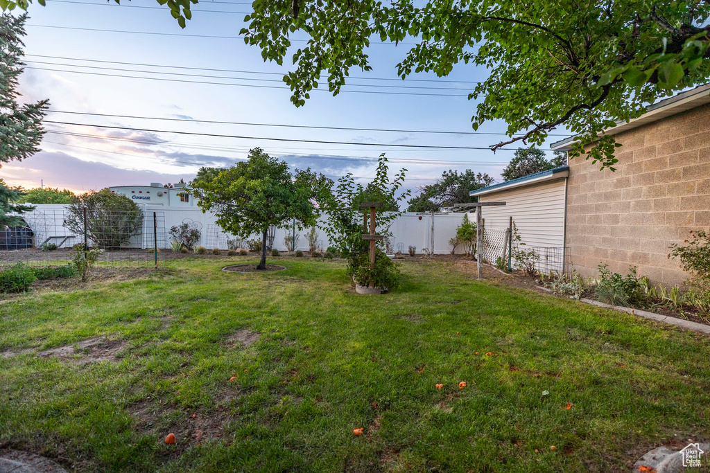 View of fenced backyard
